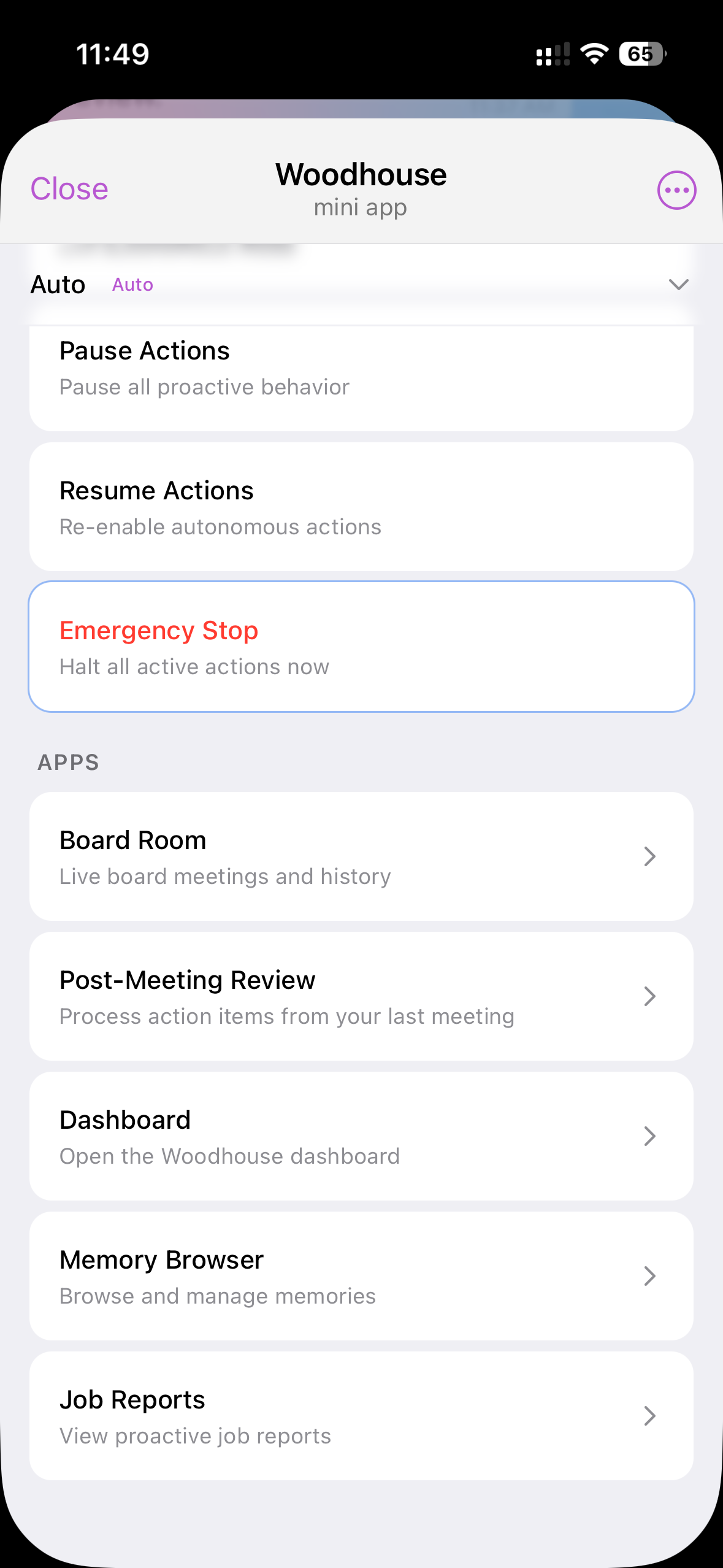 Hub mini-app apps and controls view